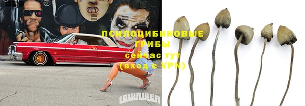 меф Рославль