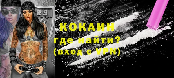 гашик Россошь
