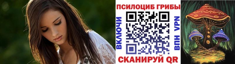 купить наркотики сайты  Чкаловск  Псилоцибиновые грибы мухоморы 